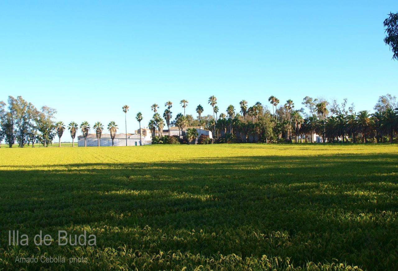 Villa Paquita - Delta De L'Ebre Deltebre Exterior foto