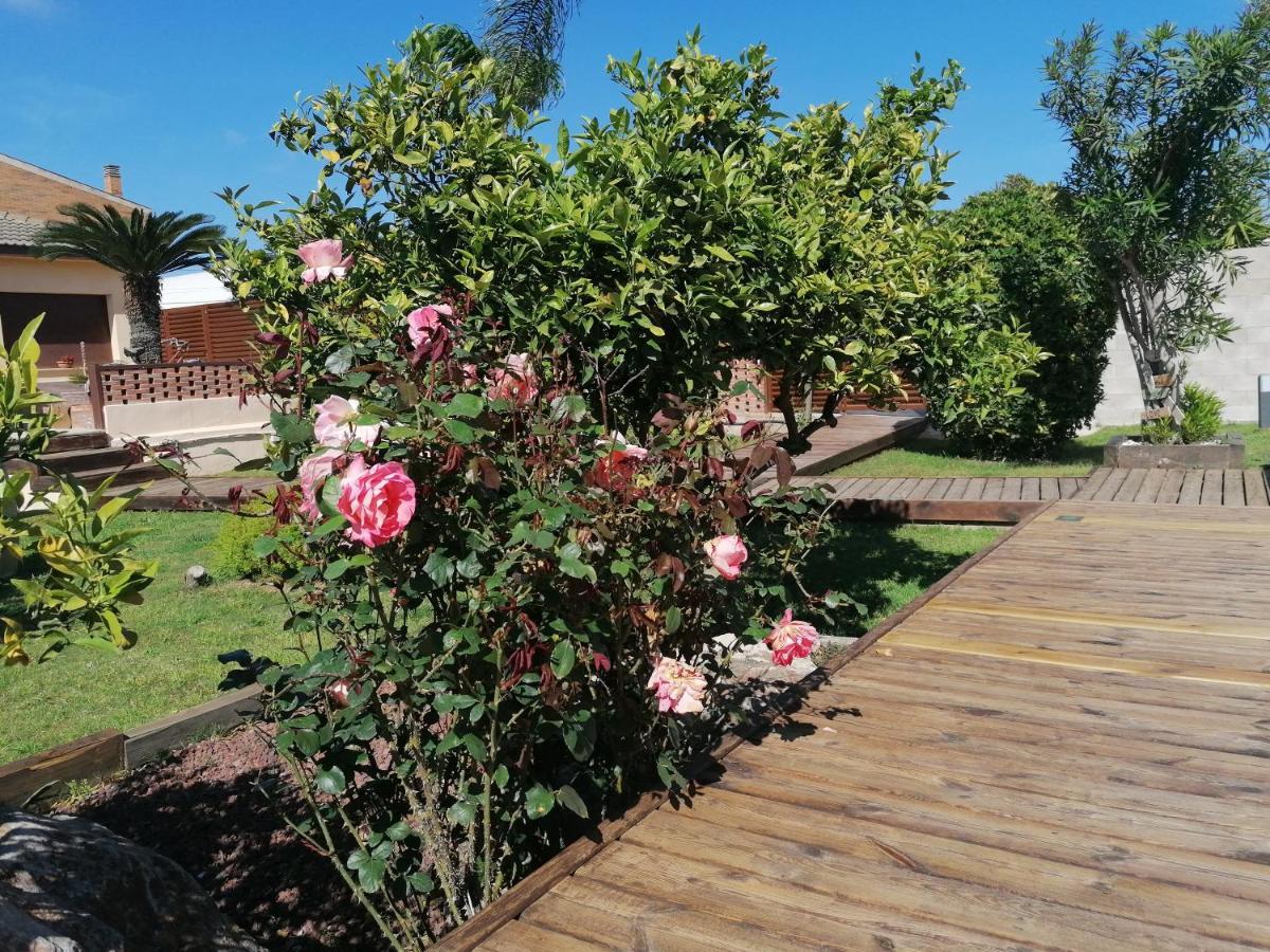Villa Paquita - Delta De L'Ebre Deltebre Exterior foto